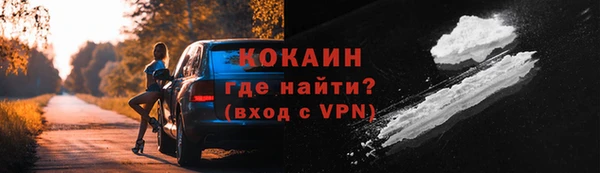 ешки Белокуриха