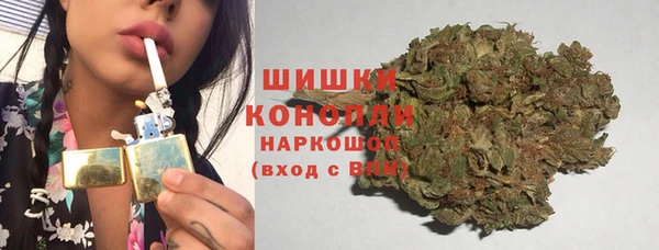 ешки Белокуриха